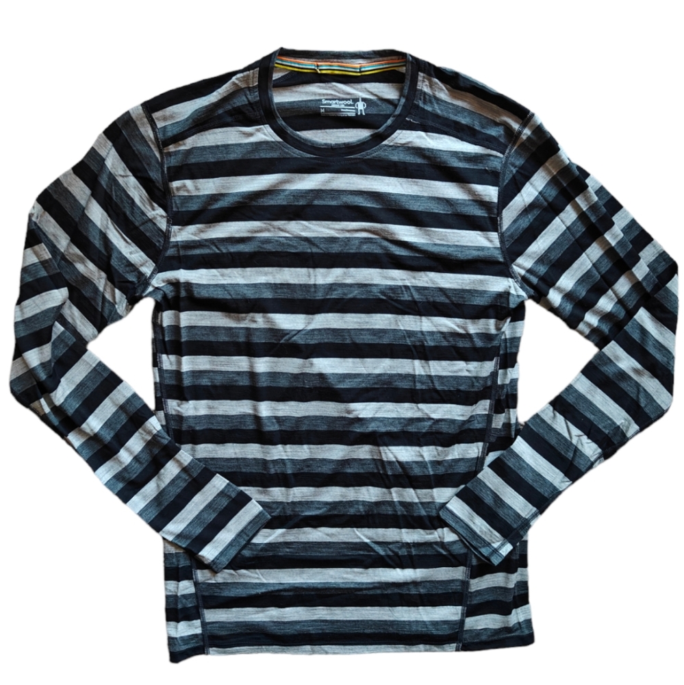 NWOT Smartwool Merino 150 Long Sleeve Top